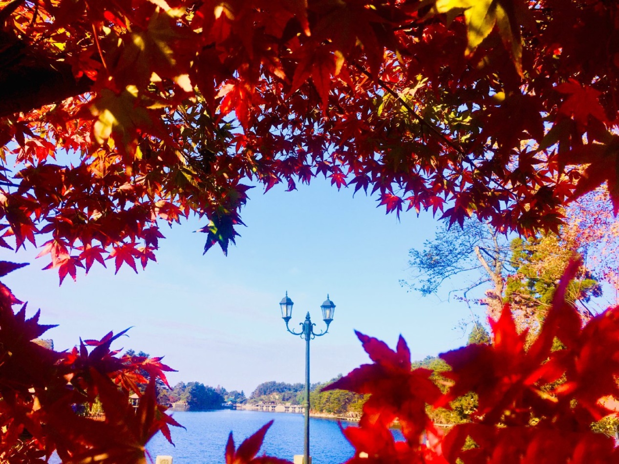 庐山十大避暑山排名,庐山最美的峰