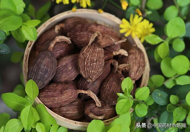 云南昆明中药材交易市场行情报价,云南中药材市场有哪些