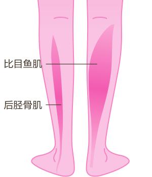 让肌肉放松怎么按摩,怎么让紧绷的肌肉放松