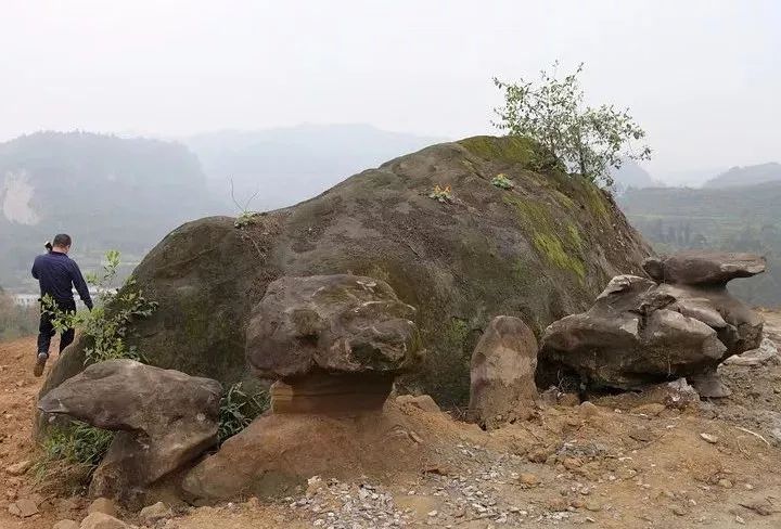 四月天山上春笋鲜,人间四月天春笋鲜