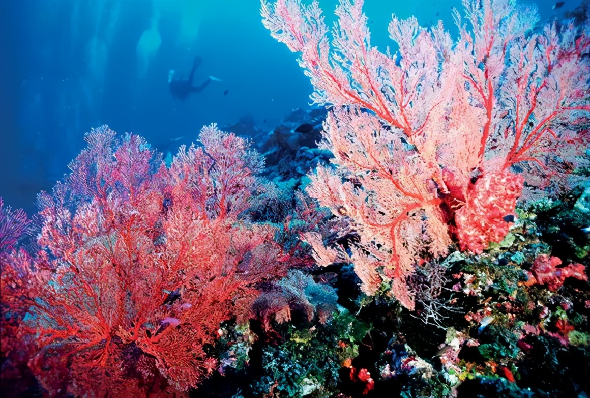 等疫情过后去日本旅行,疫情结束我们一起去旅游吧