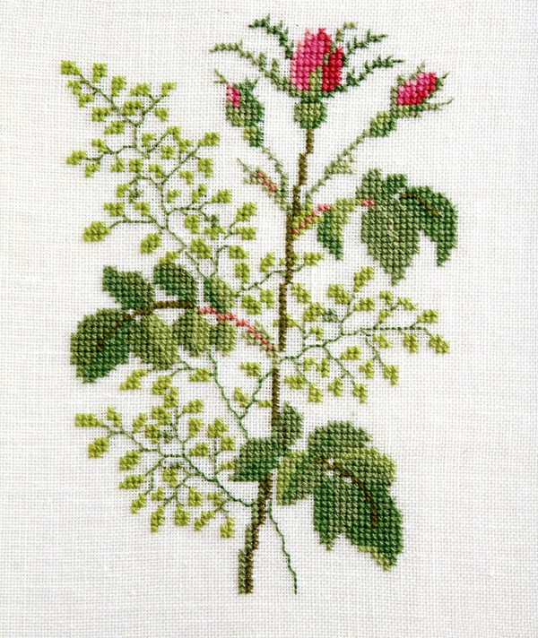 十字绣简单小图,十字绣简单的图片