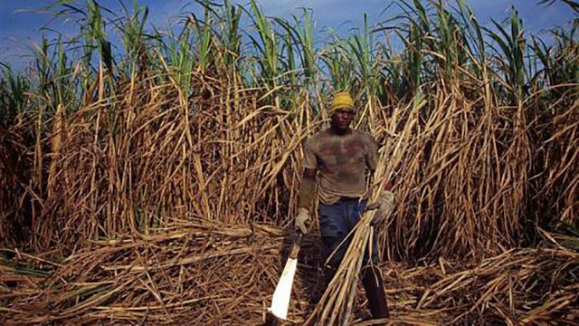 古巴是如何发展起来的,古巴曾经是一个怎样的国家