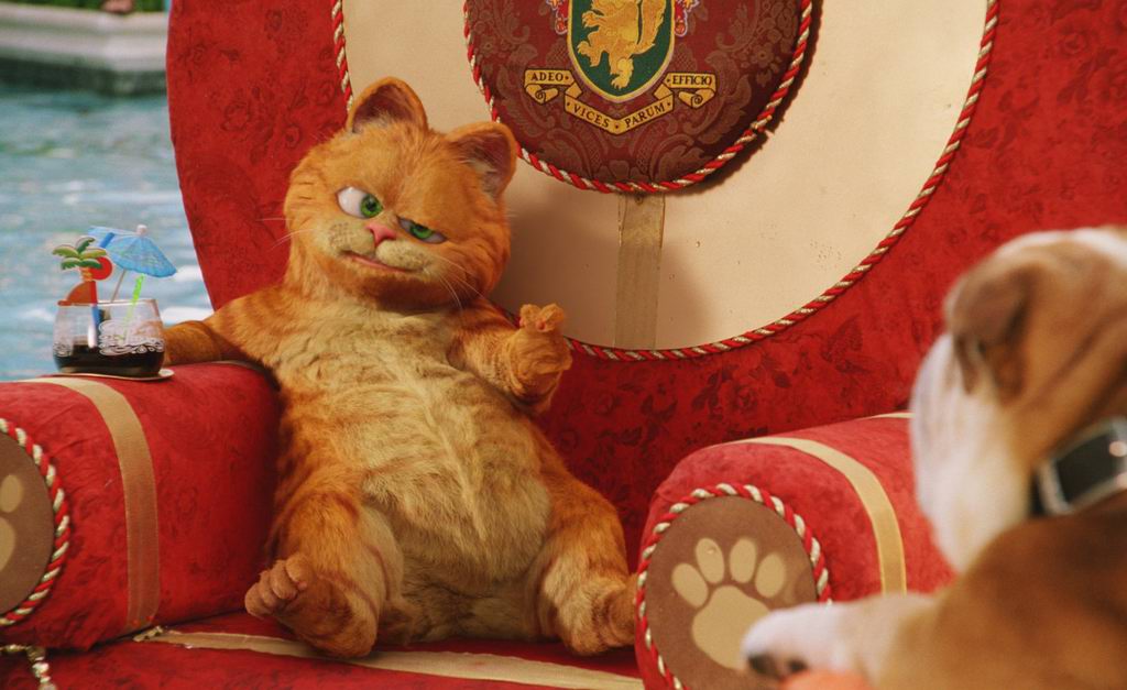 你是否也是猫奴呢？这只好吃懒*爱做**欺负其他动物的肥猫你还记得吗