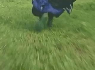 江湖恩仇录电视剧76版金顶神功,武侠剧江湖恩仇录