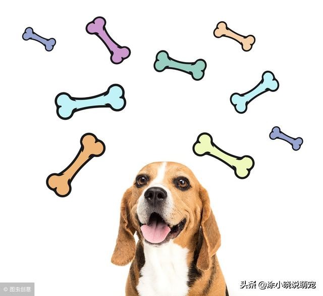 宠物鼻子湿的好还是干的,幼犬鼻子干热怎么回事