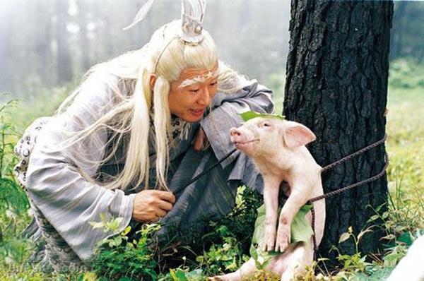 盘点一些小时候看过的经典电视剧,你们看过的所有经典电视剧