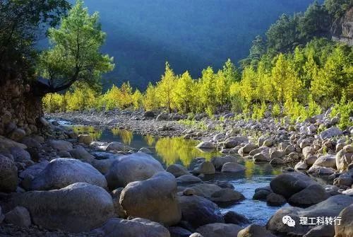 化学类专业就业前景张雪峰,化学制药专业就业前景