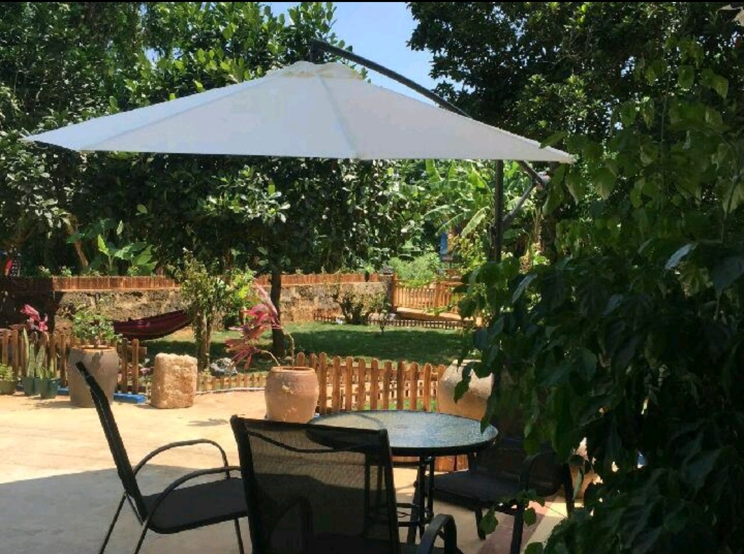 快乐的北海涠洲岛之行,是时候去旅游了的说说