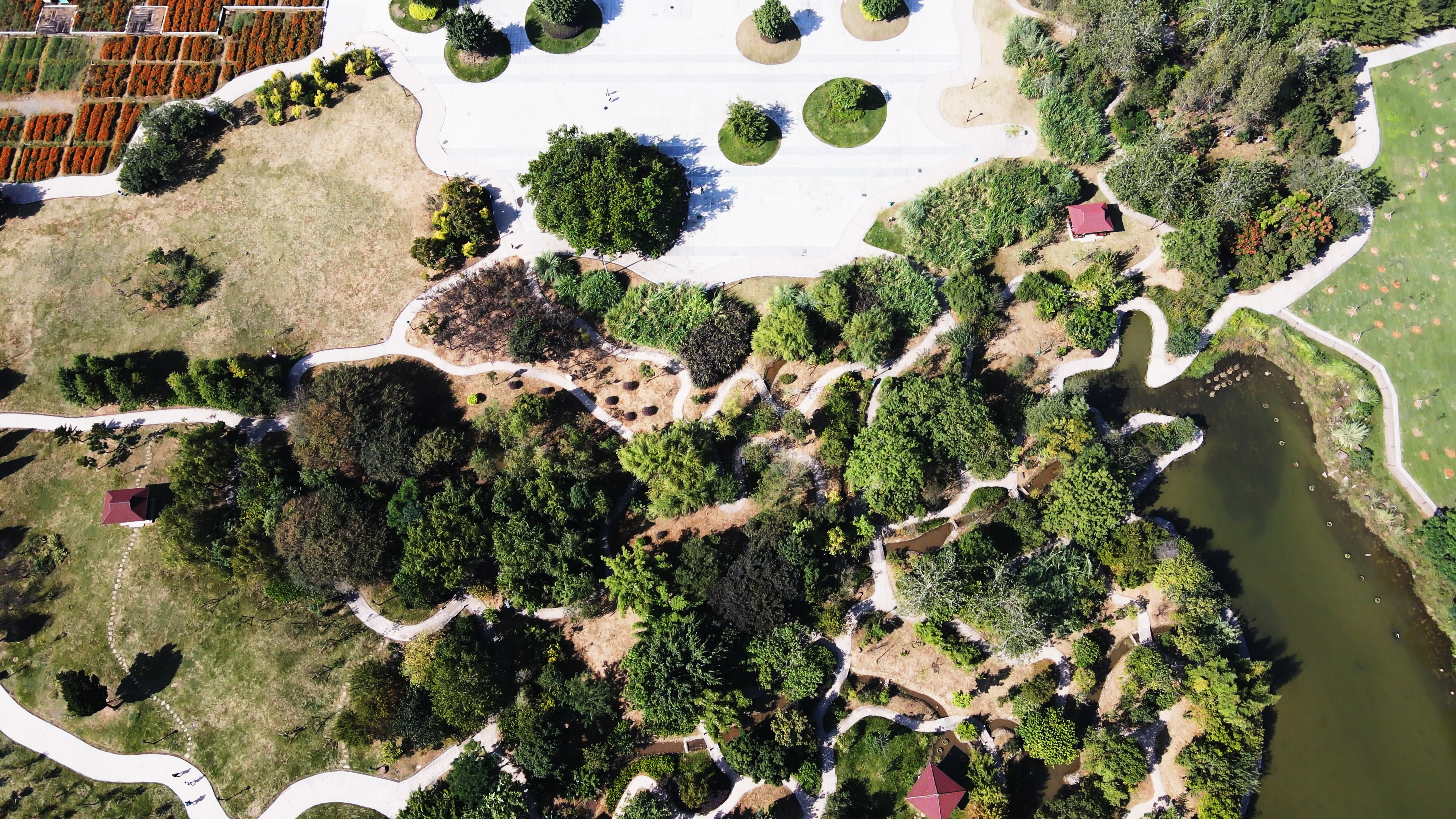 从仓山区洞悉福州全市的脉络所有福州城区装不下的仓山照单全收