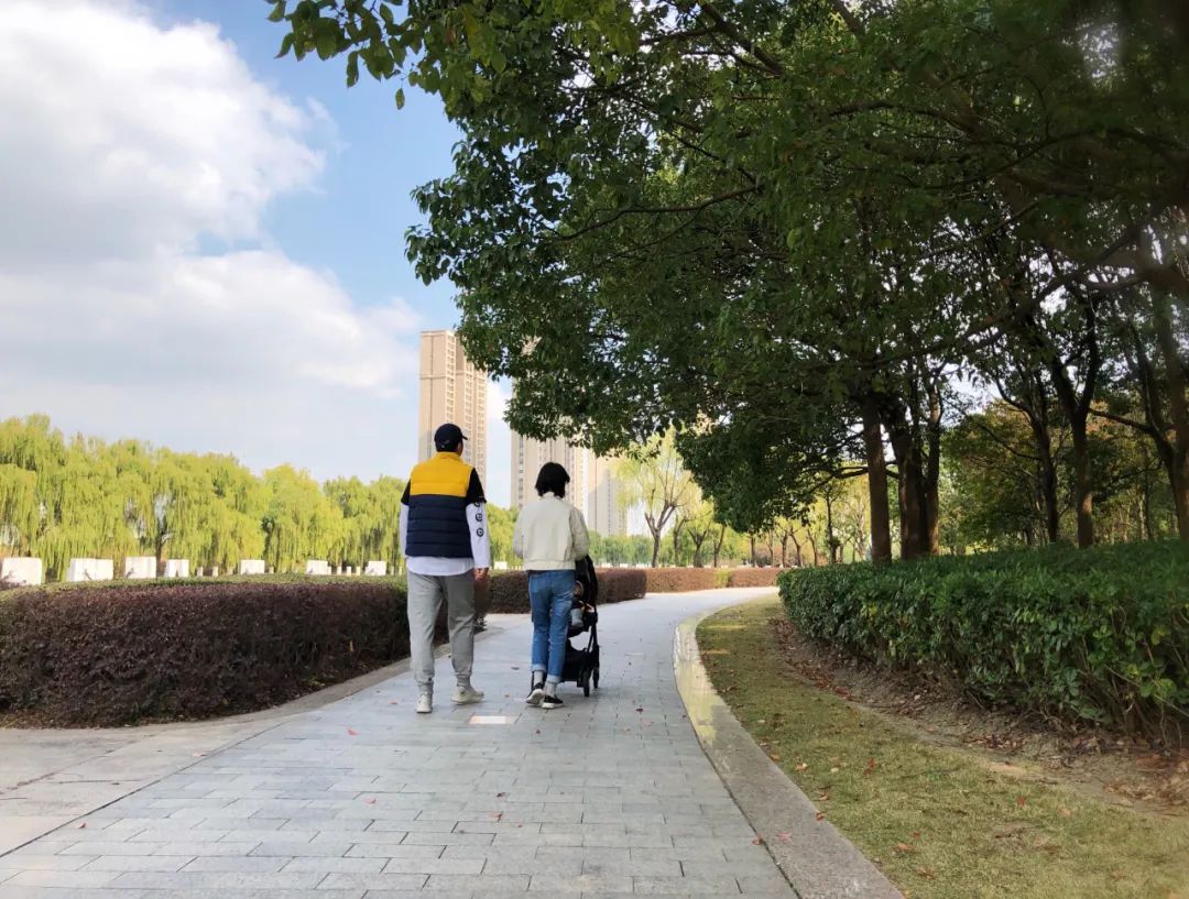 papi酱升级当妈,papi酱从网红到创业的感想