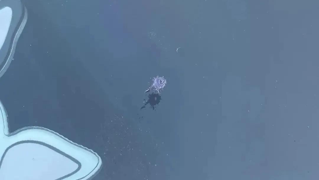 仙女棒烟花过期,网红烟花下架热议