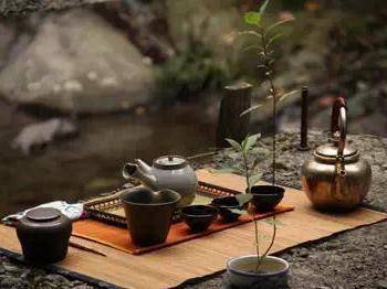 品牌普洱茶哪一款口粮茶性价比高,普洱茶大厂茶是哪些