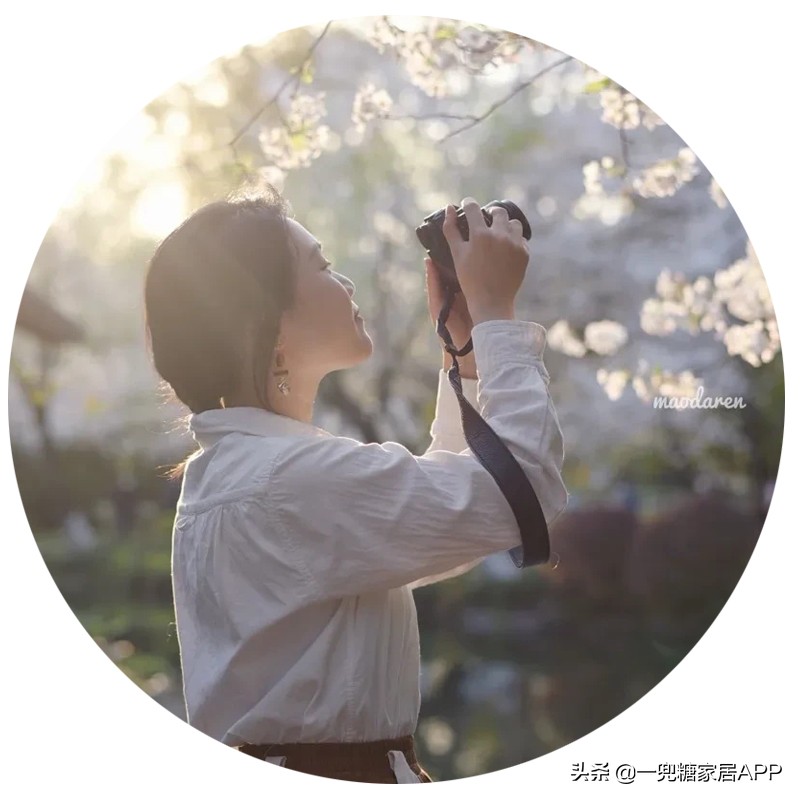 春天花会开|这20家植物淘宝店，植物杀手看了也想买！