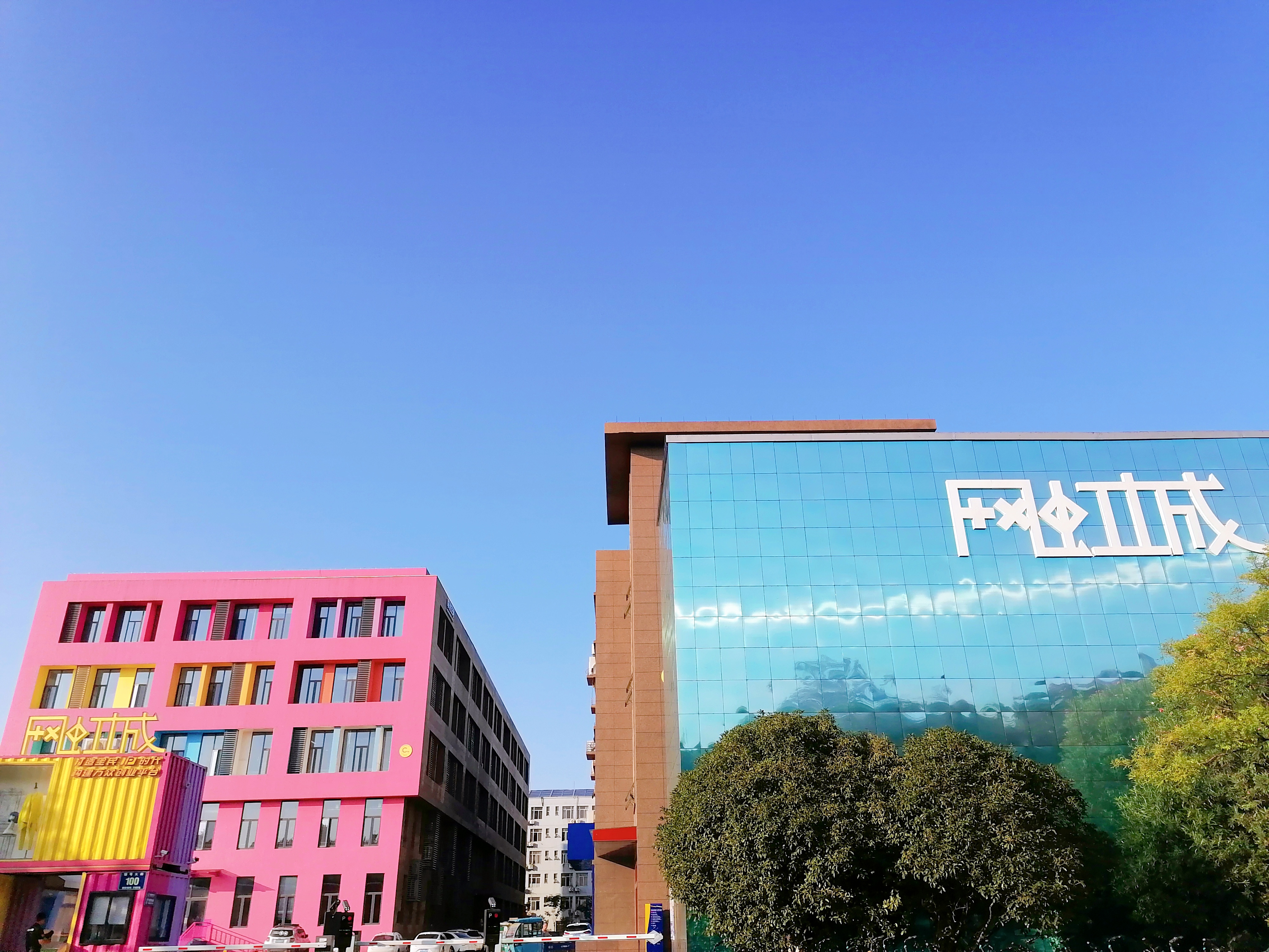 不负韶华、追梦铸城——网虹城创始人陈涌君