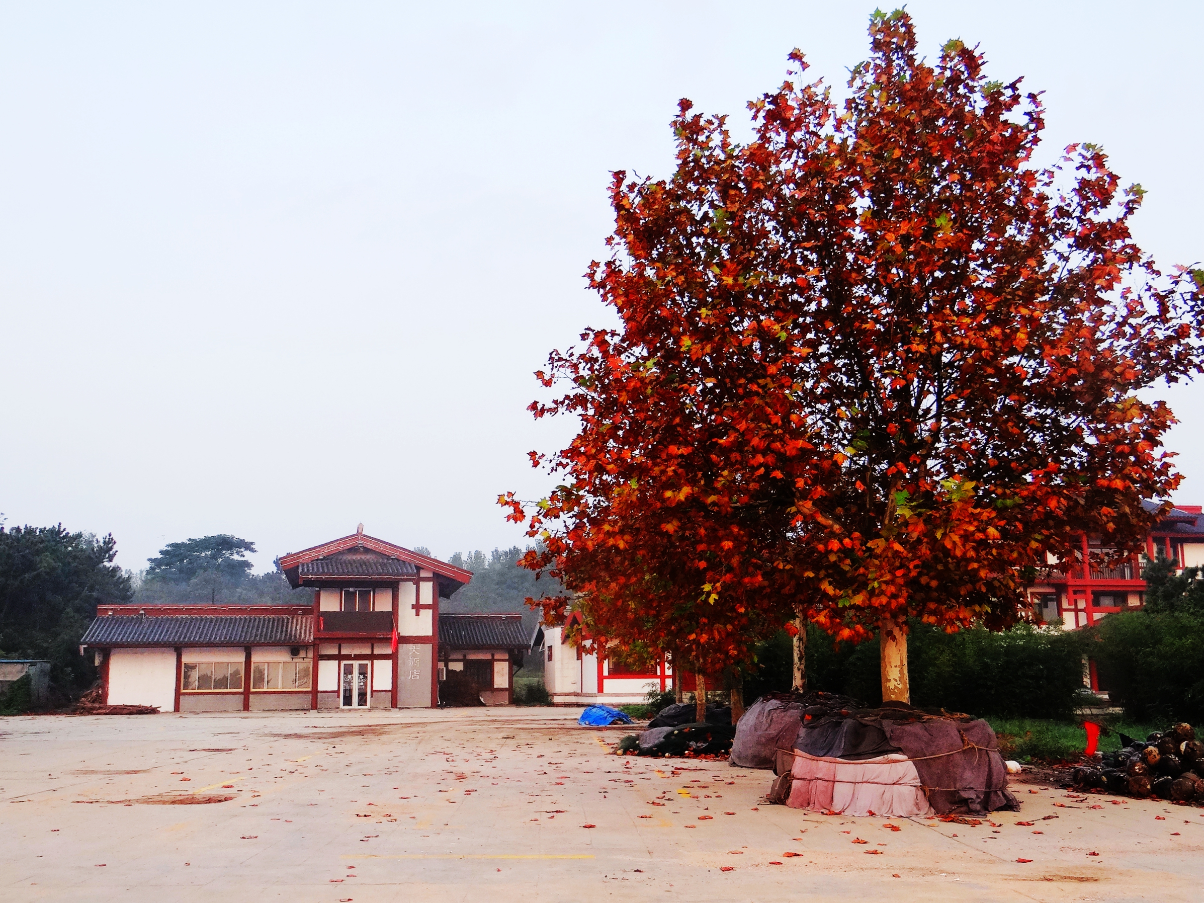 青岛鳌山湾日出,青岛蓝谷滨海公园日出