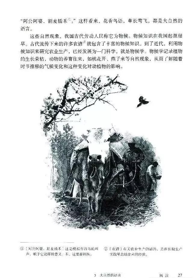 语文课本八年级下册浙教版电子书,八年级下册语文七彩课堂电子课本