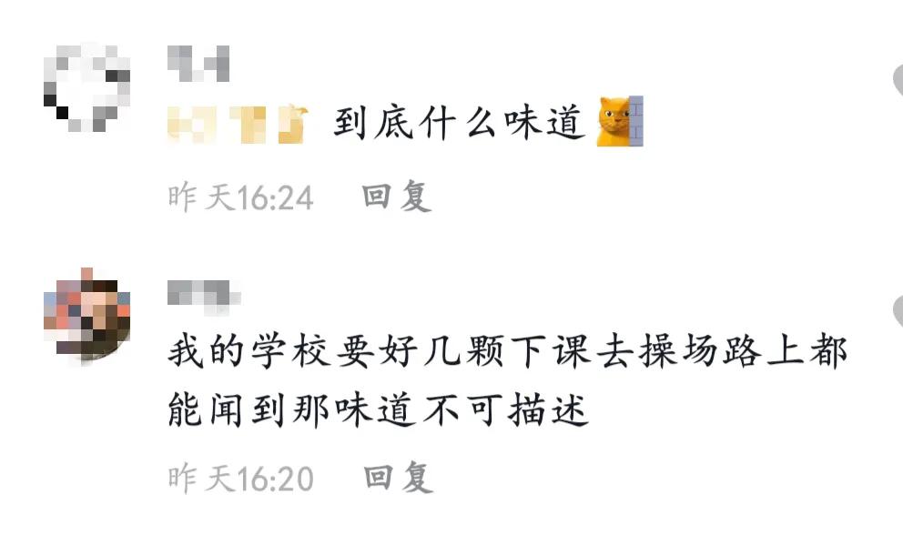 石楠花为什么是生命之花,石楠花是怎样的