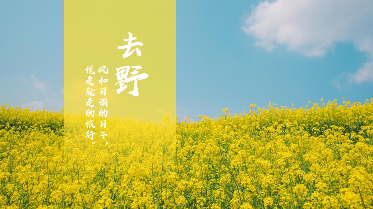 如何制作ppt图片加文字,做ppt时图片不够清晰怎么办