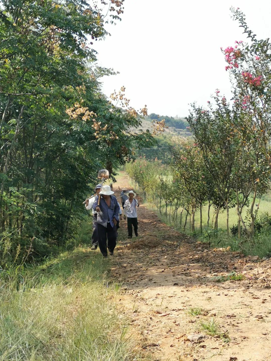 鍐滄皯鏃ユ姤涔℃潙鎸叴鎶ラ亾,鍐滄皯鏃ユ姤绯诲垪鎶ラ亾