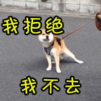 防骗悬疑剧《猎心者》热播中，中老年人更需要提高防骗意识！