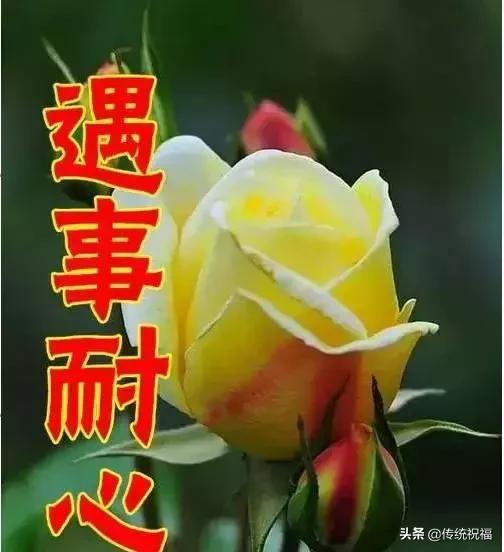 女人节祝福语送给你,最美丽的女人节祝福