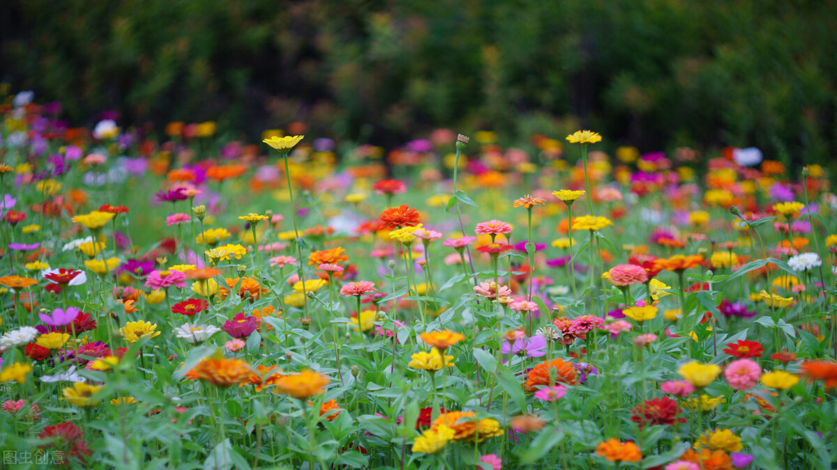 自考大专要三年毕业吗,成人自考本科1.5年毕业是真的吗