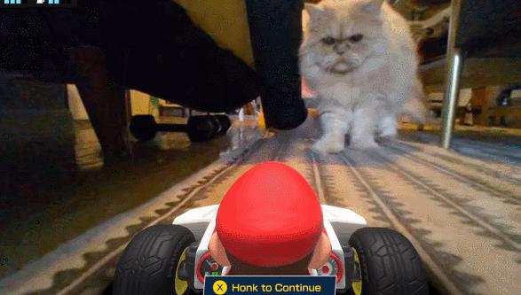 玩《马力欧卡丁车实况：家庭赛车场》前，你问过你家猫咪了吗？