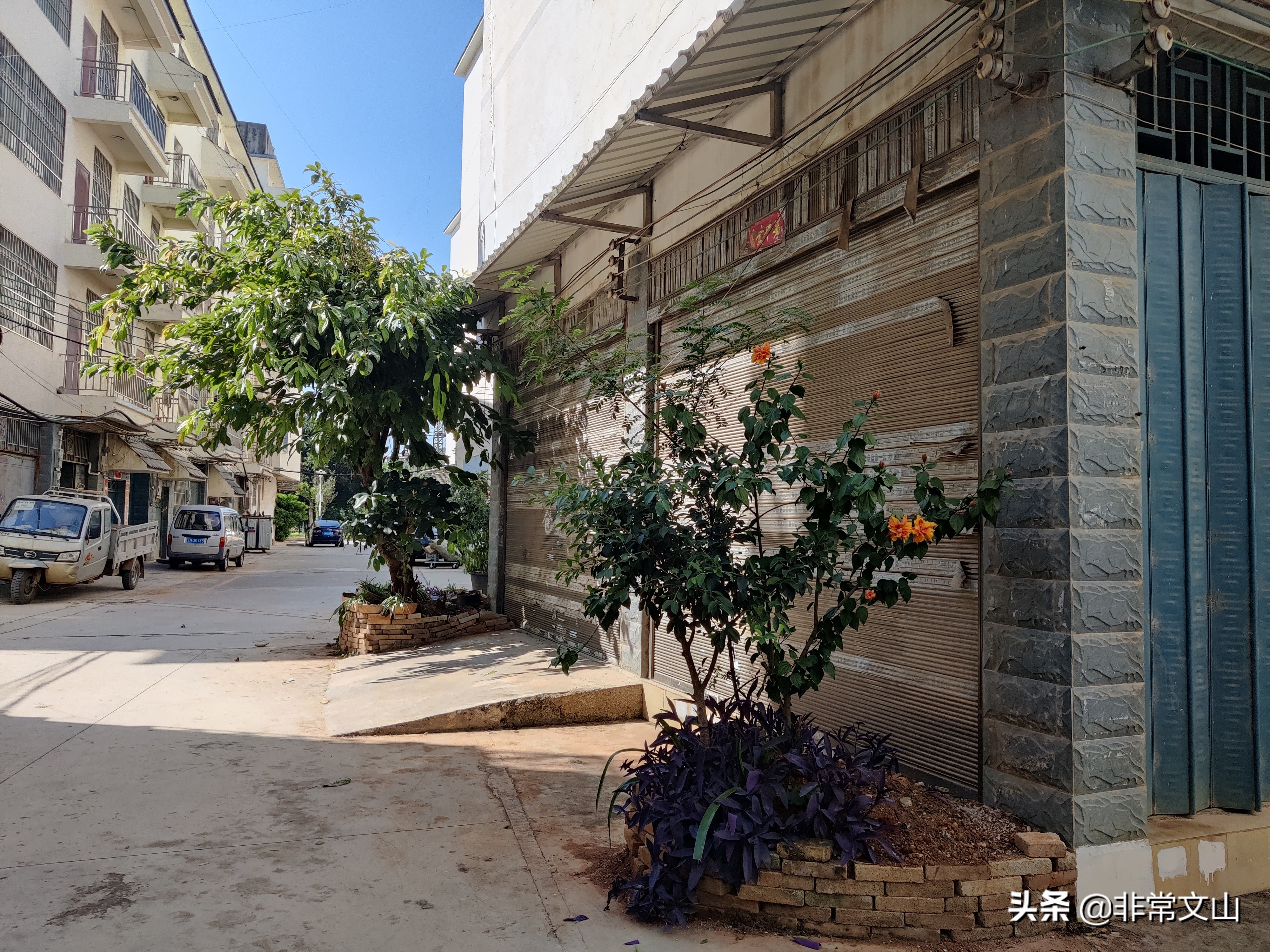 创卫创文行动,创文创卫新举措