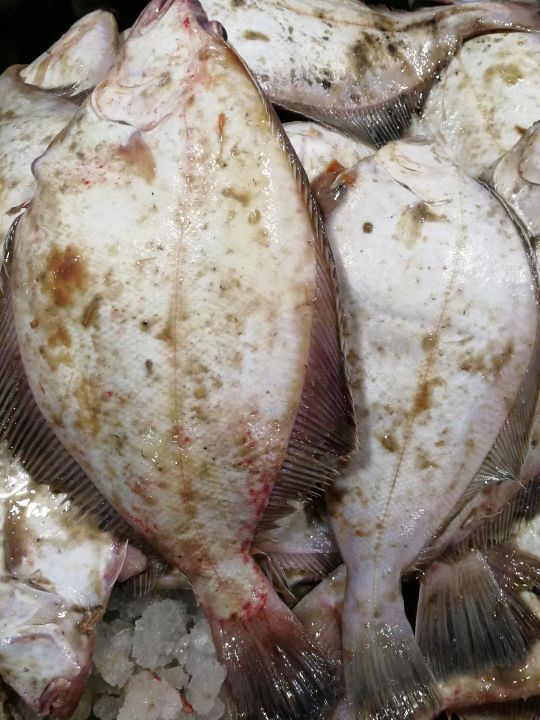 威海哪里有刚出海回来的海鲜,威海买海鲜哪里的新鲜便宜