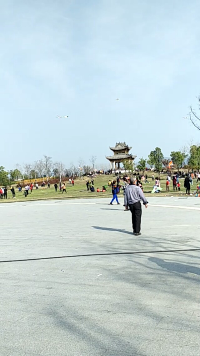 今年做点小生意,今年自己干的小生意都有什么