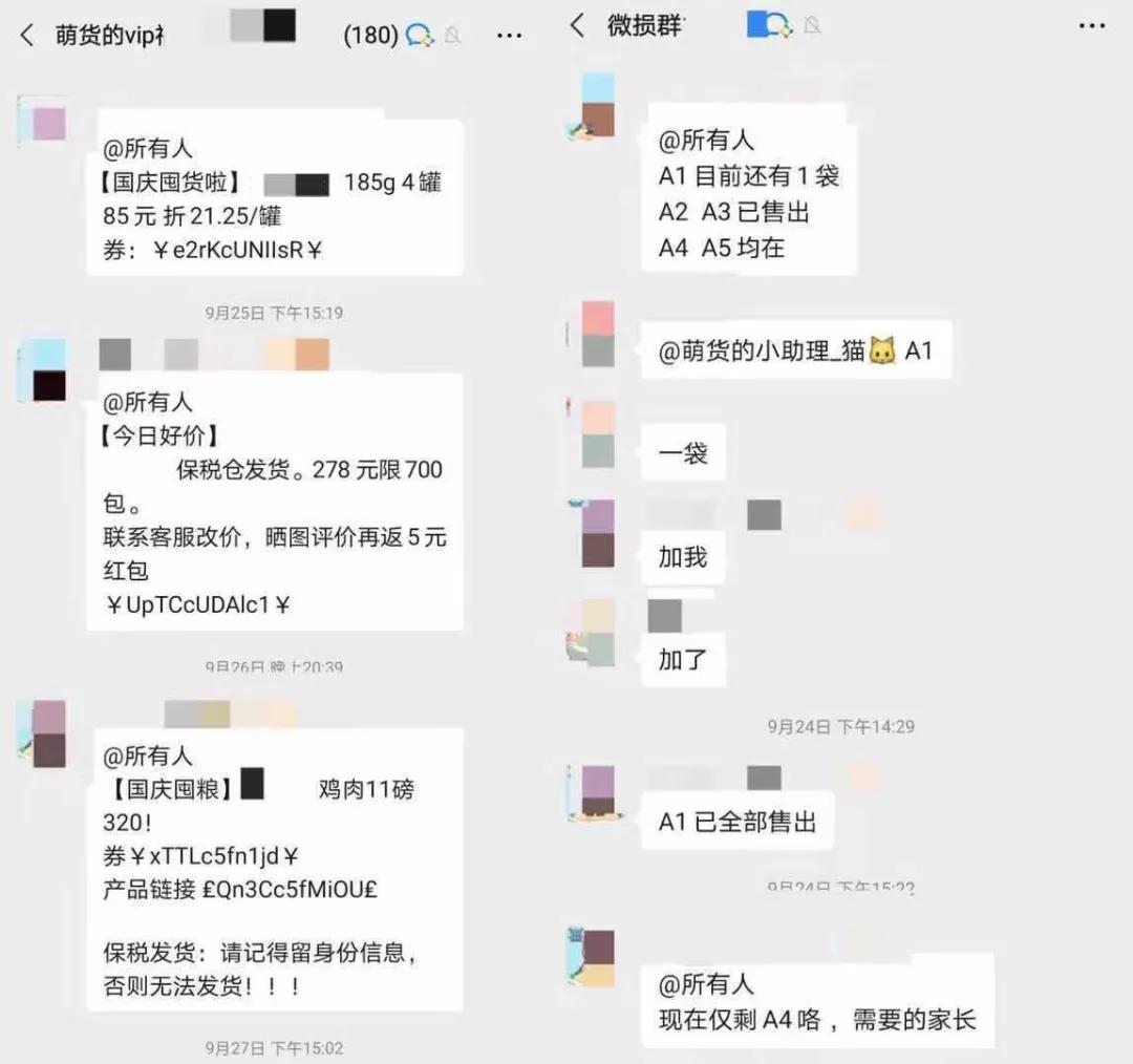以为单身就可以自由,开始以为养猫是为了不孤单