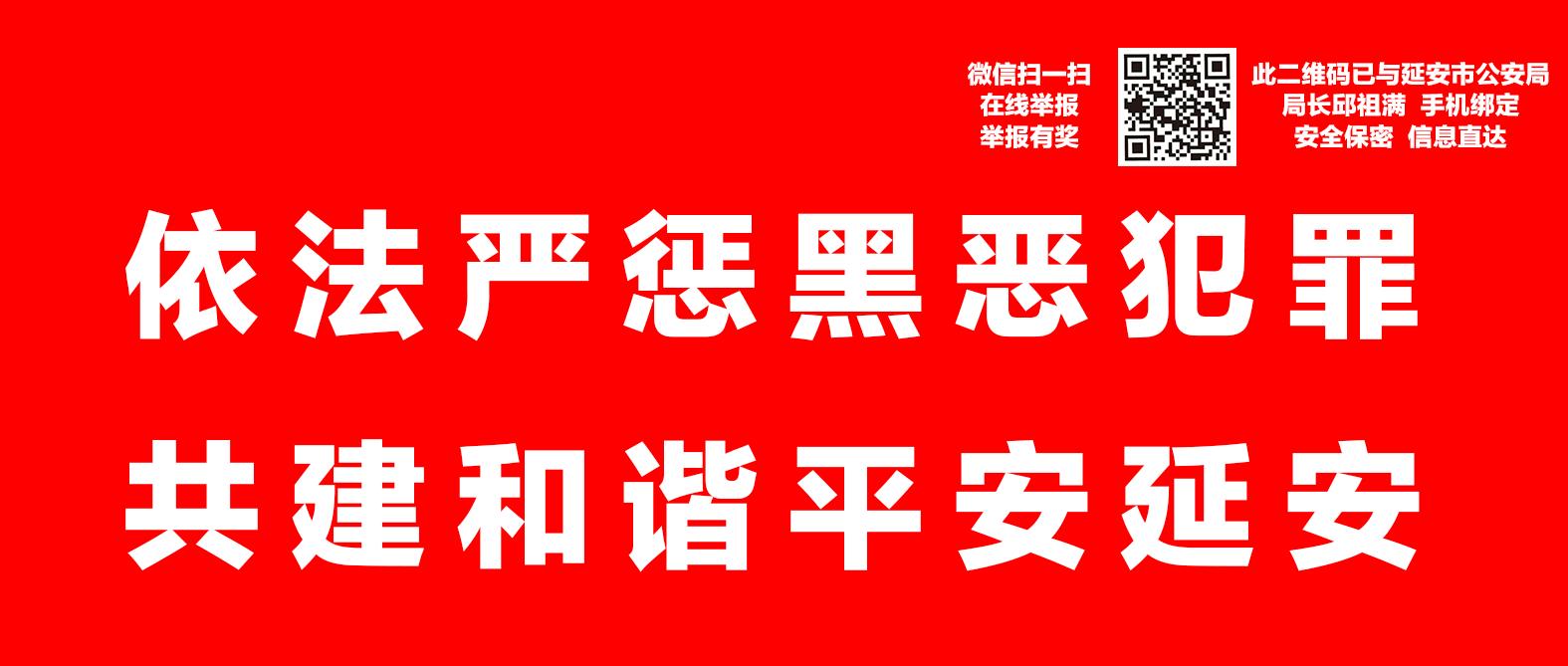 延安志丹简介,延安志丹县