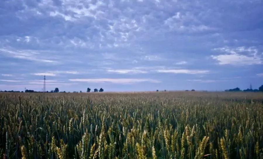 无聊时做这三件事你会越来越好,无聊时要做的十件事