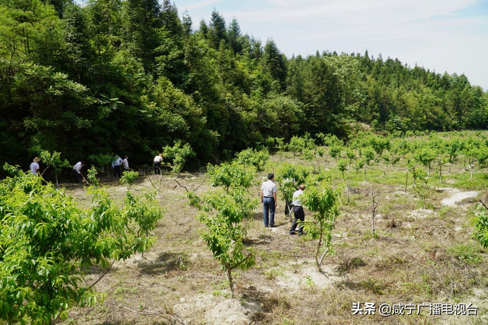 通城美丽乡村人间仙境,通城乡村振兴村景