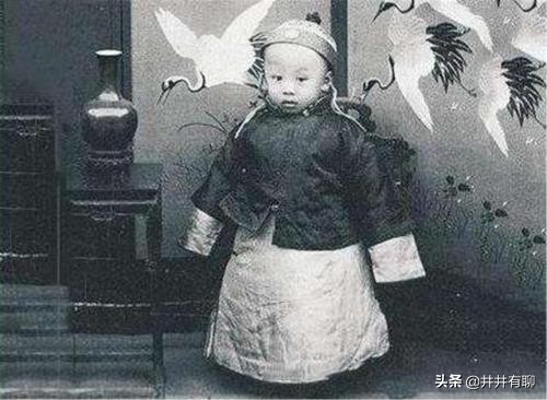 《我的前半生》溥仪揭露了啥？特赦后，主席批评：把自己说的太坏