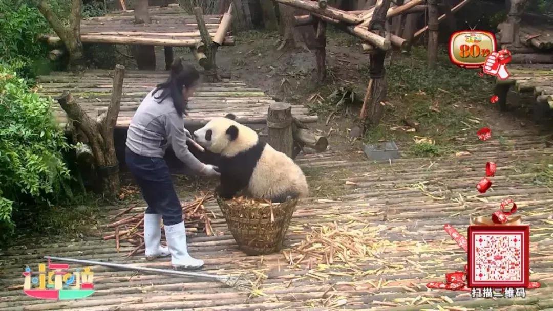 鞠萍姐姐走进三门核电,鞠萍姐姐谍影重重