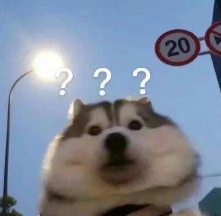 不一样的高考2020,不一样的高考