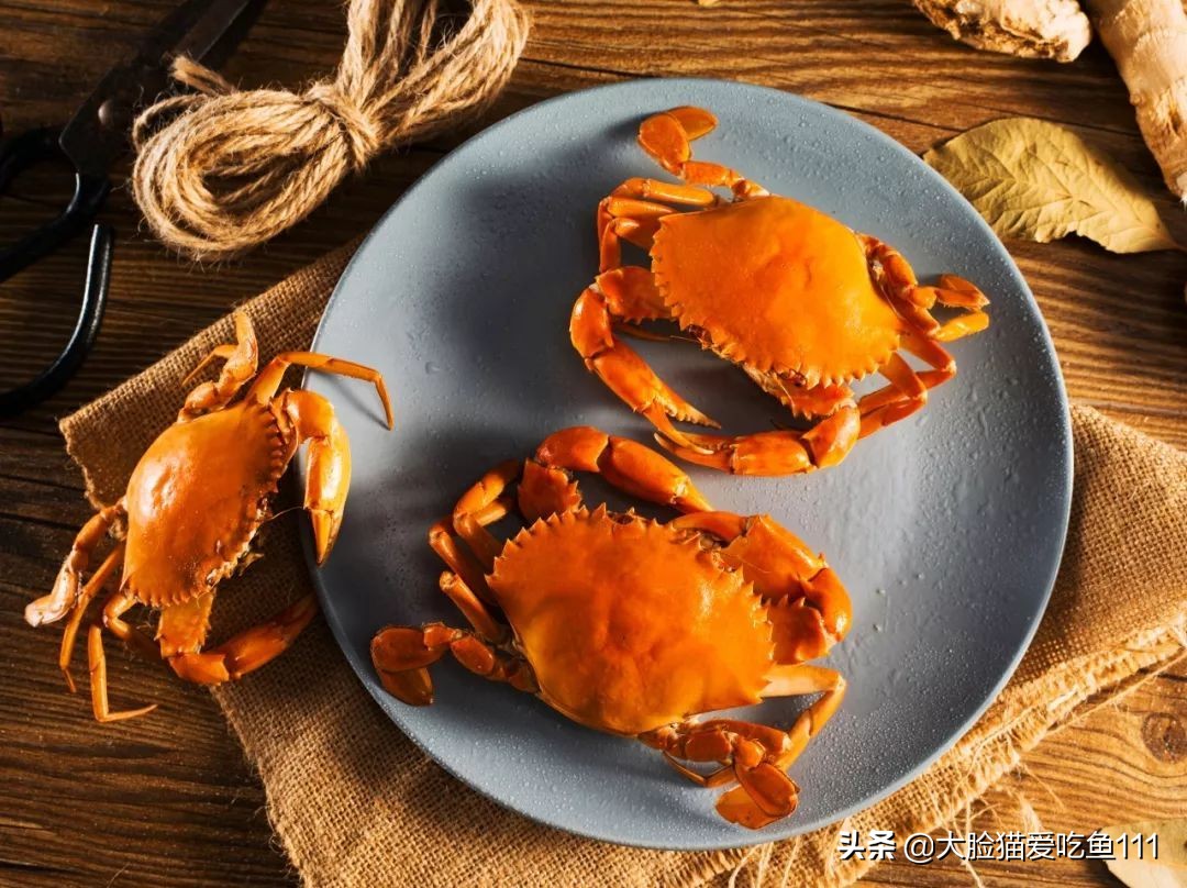 舟山带鱼好吃还是日照带鱼好吃,南有舟山北有舟山带鱼