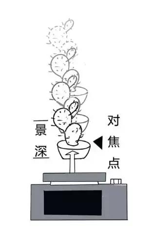 拍照模糊的方法是什么,拍照模糊如何去掉