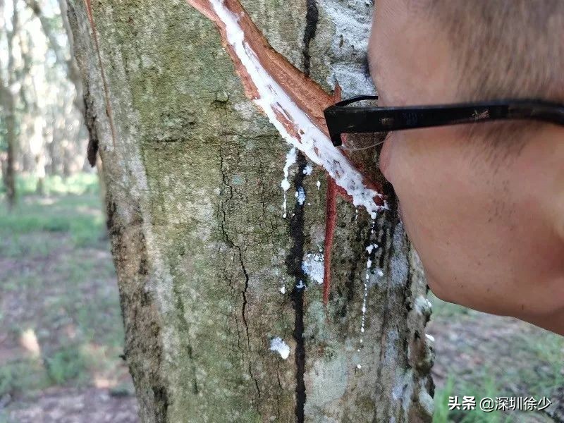 SAWALI我们的品牌我们的情怀