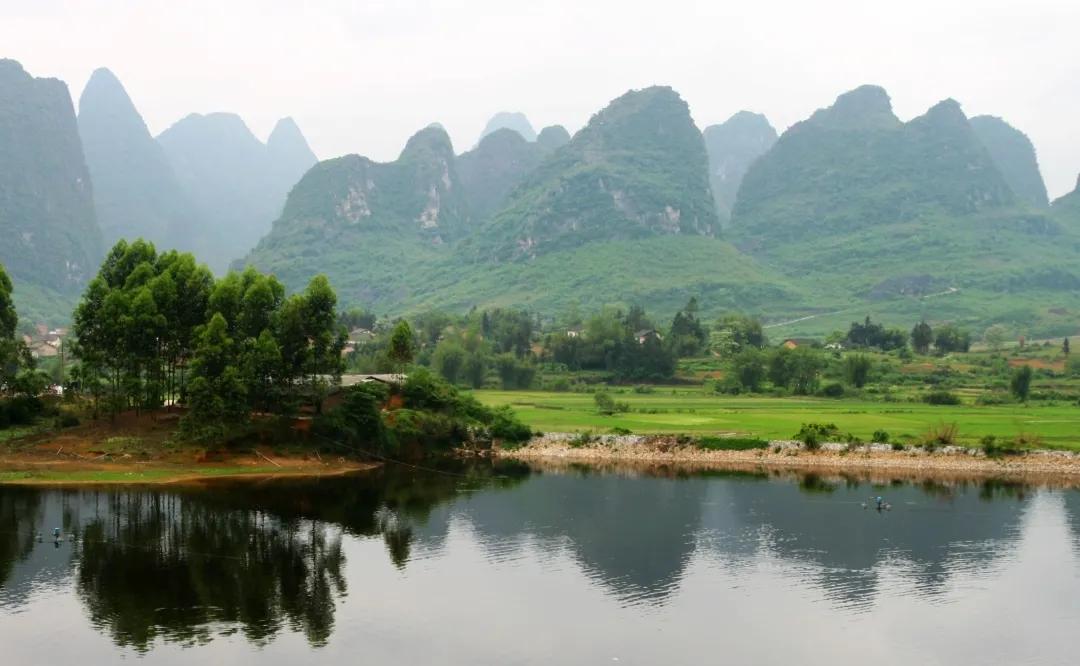 九头鸟的意思,九头鸟的故事