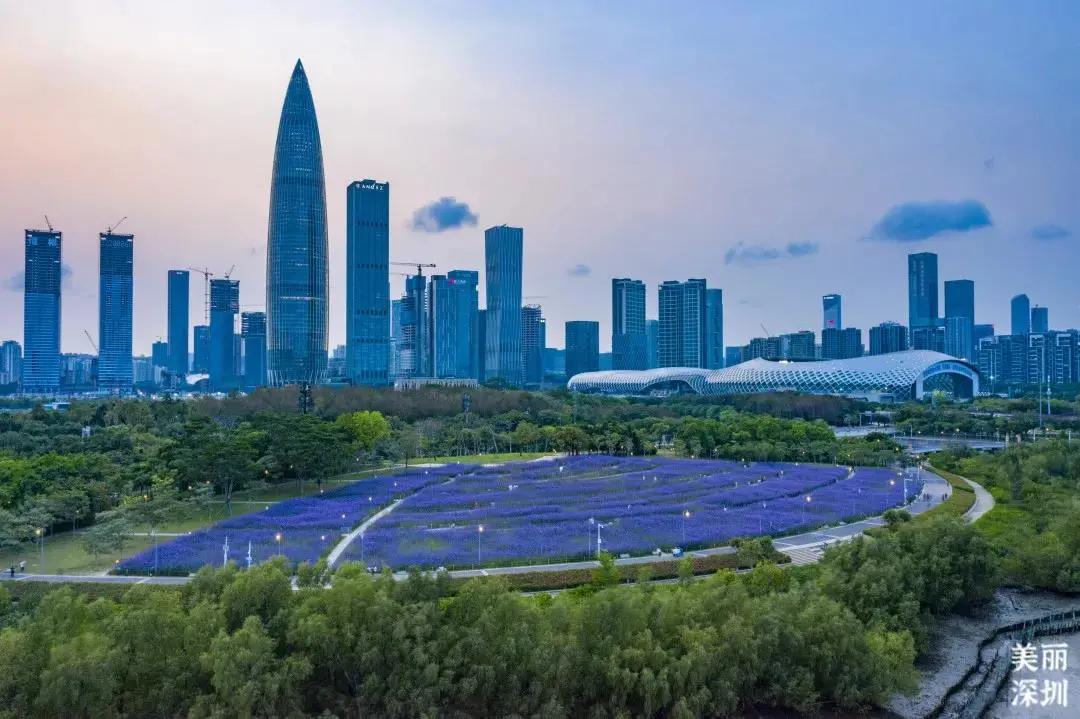 不离深也能“游”|公园超全攻略来了！千园之城，总有一款公园适合你