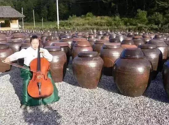 新型农庄发展趋势,特色农庄发展问题