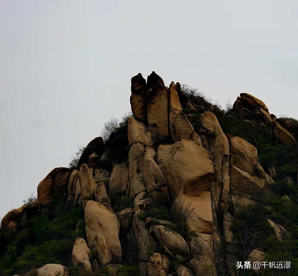 阳春四月春意盎然,阳春四月艳阳照