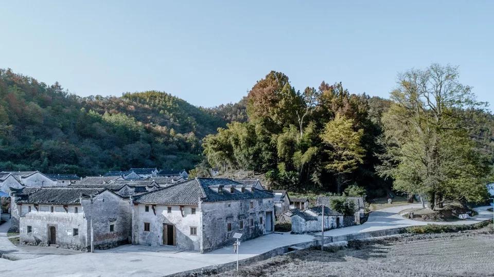 西安高新乡村振兴项目一览表,中国100个乡村振兴样板村