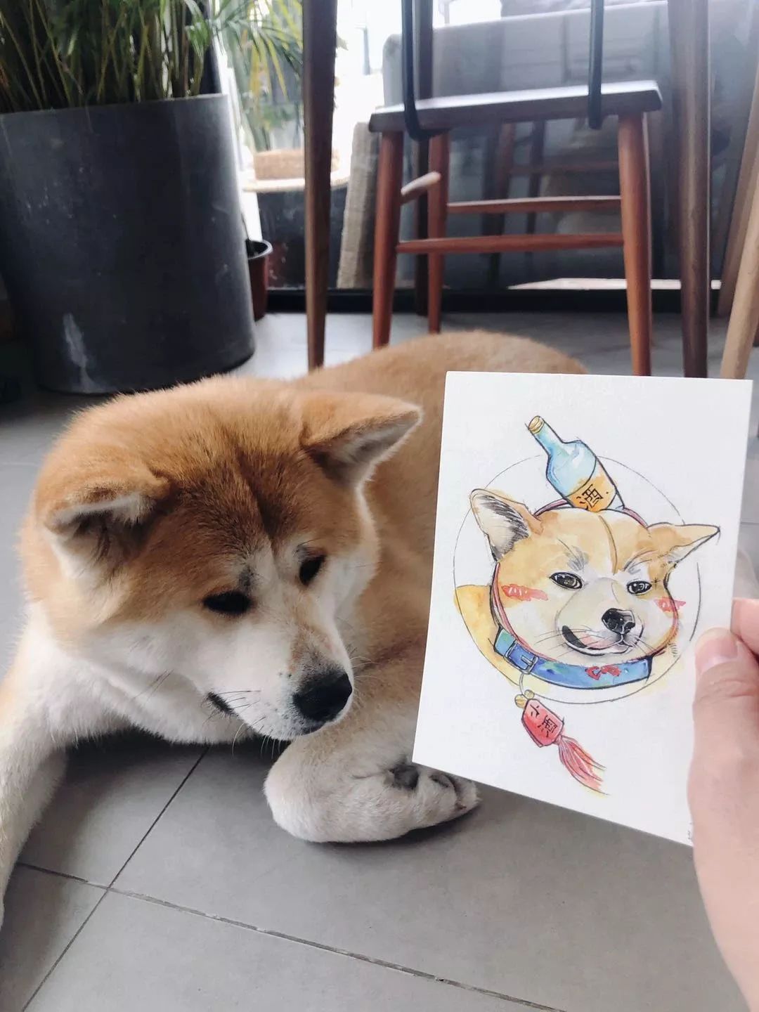 从阿里离职的原因,90后辞职创业开民宿