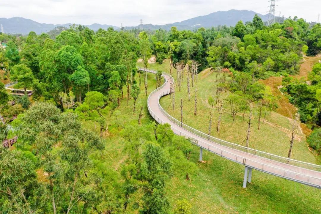 珠海入户口积分多少,珠海积分入学入户时间