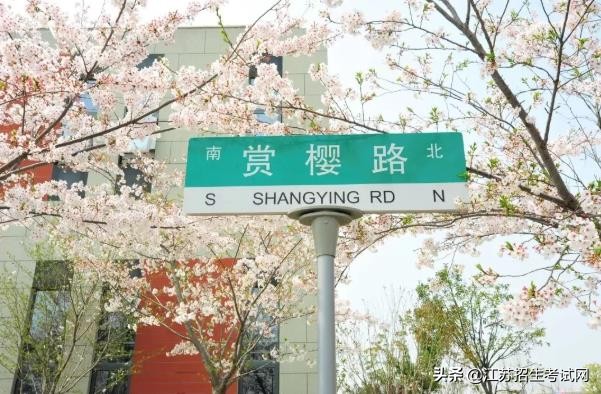 泰州职业技术学院资料,泰州职业学院有什么