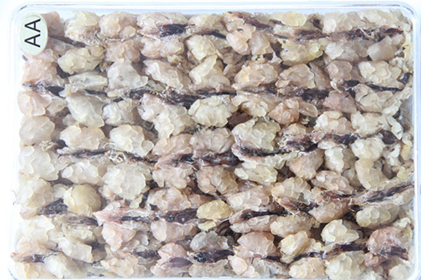 雪蛤里的黄金图片,雪蛤堪比黄金